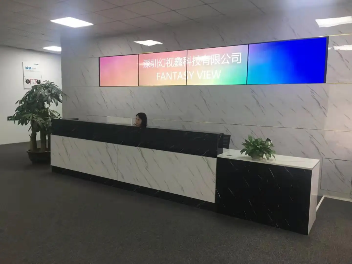 Shenzhen Fantasy View Technology Co., Ltd. LED Display