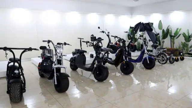 Yantai Feiwo International Trading Co., Ltd. Electric Scooter