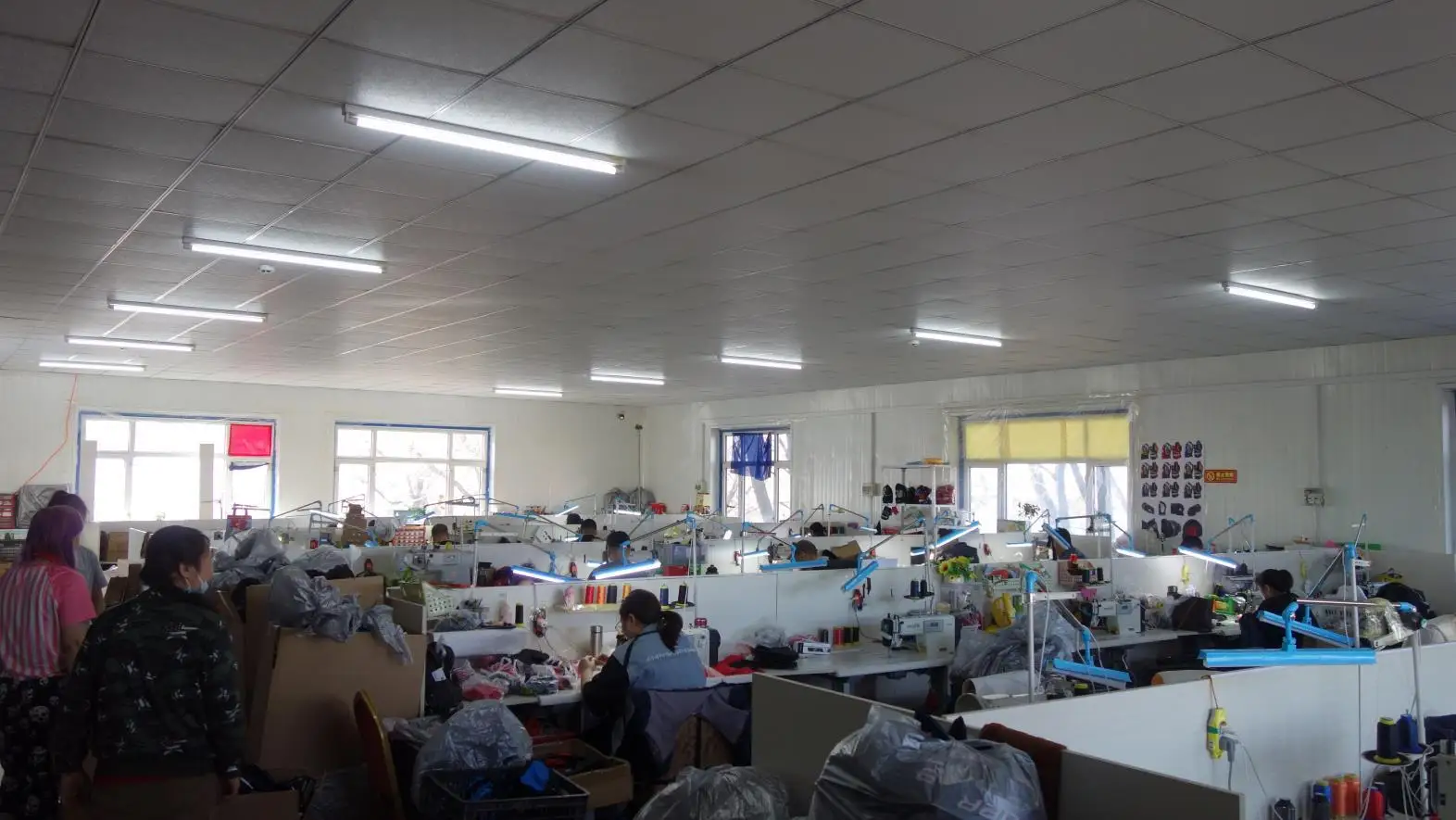Qiqihar Bingchi Sports Technology Co., Ltd. factory image 5