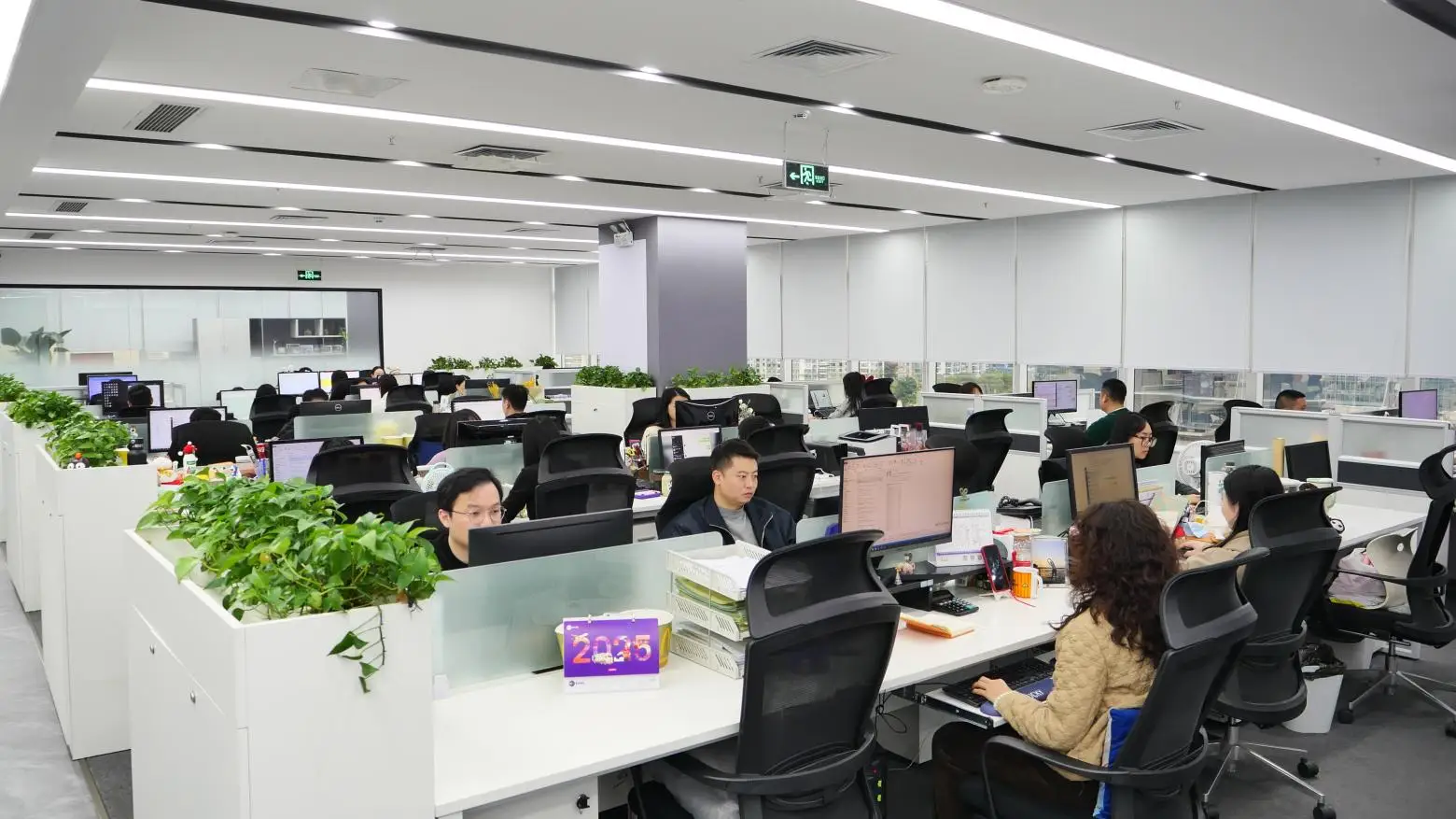 Shenzhen New Chain Logistics Co., Ltd. Sea Freight