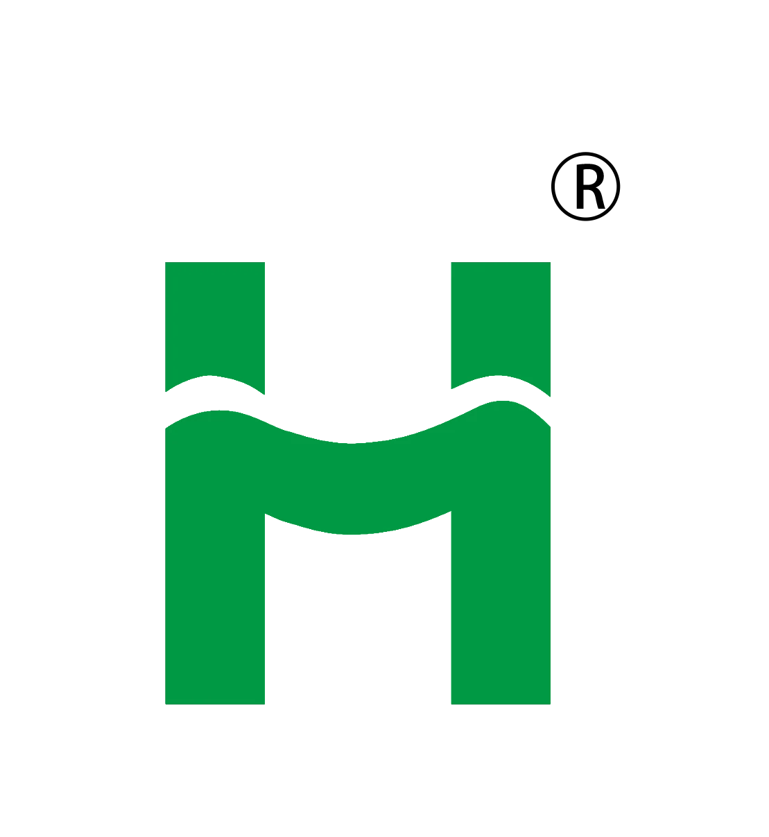 Shandong Huamei Technology Co., Ltd. logo