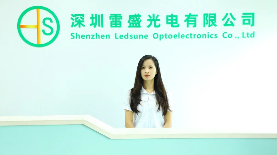 Shenzhen Ledsune Optoelectronics Co., Ltd. factory image 2