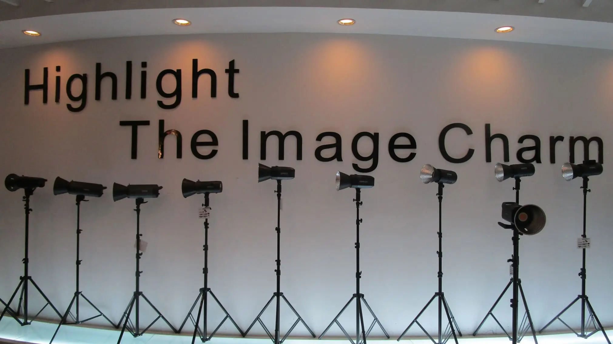 China Vistar Electronic Science & Technology Co., Ltd. Light Stand