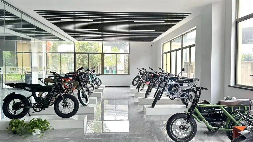 Zhejiang Baoguilai Vehicle Co., Ltd. Electric City Bikes