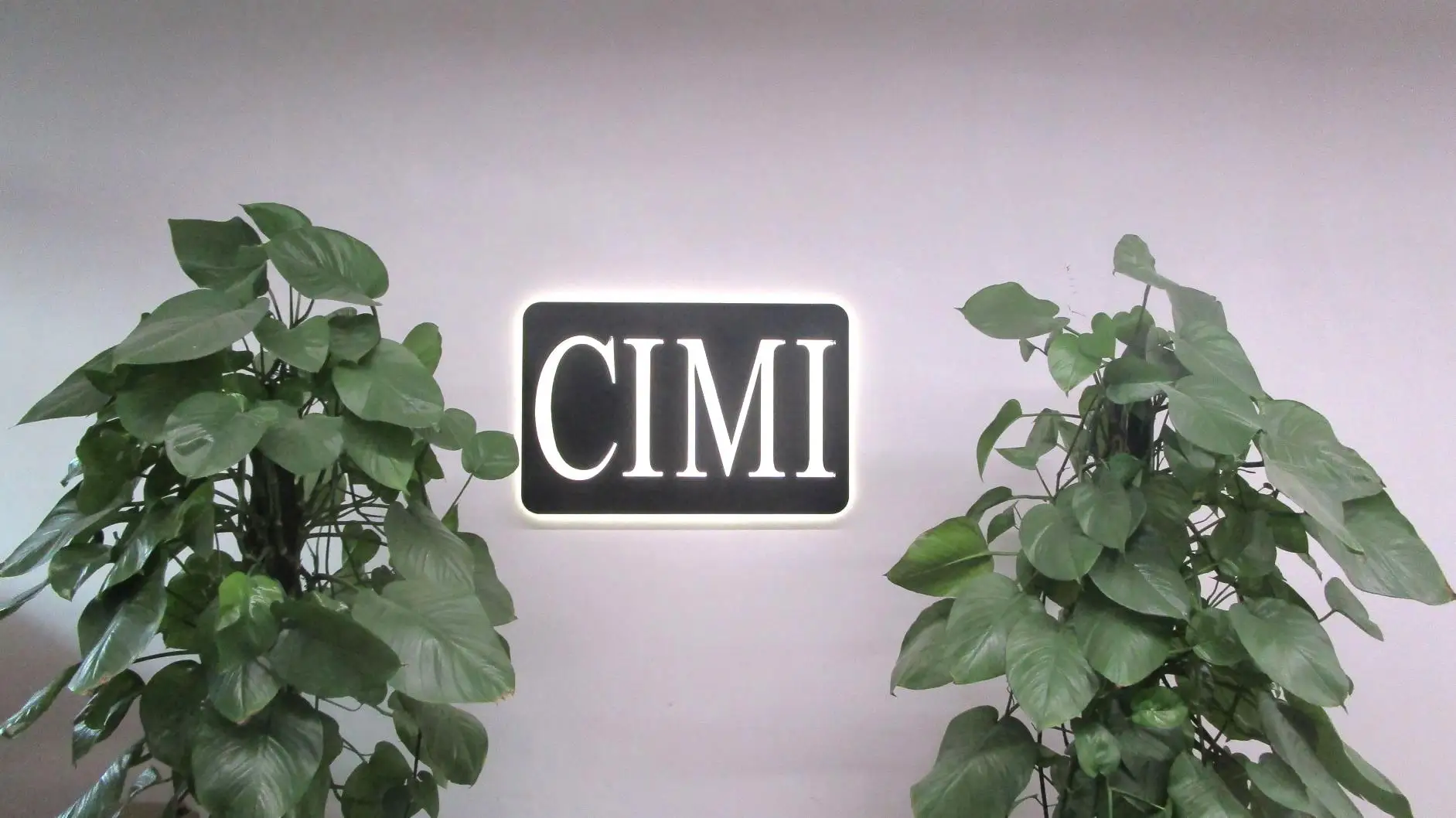 Ningbo Cimi Sports Co., Ltd. Surfboard Leash