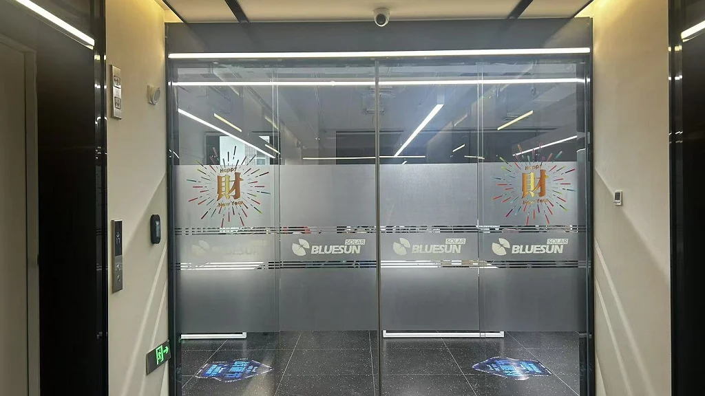 Bluesun Solar Co., Ltd. Solar Inverters