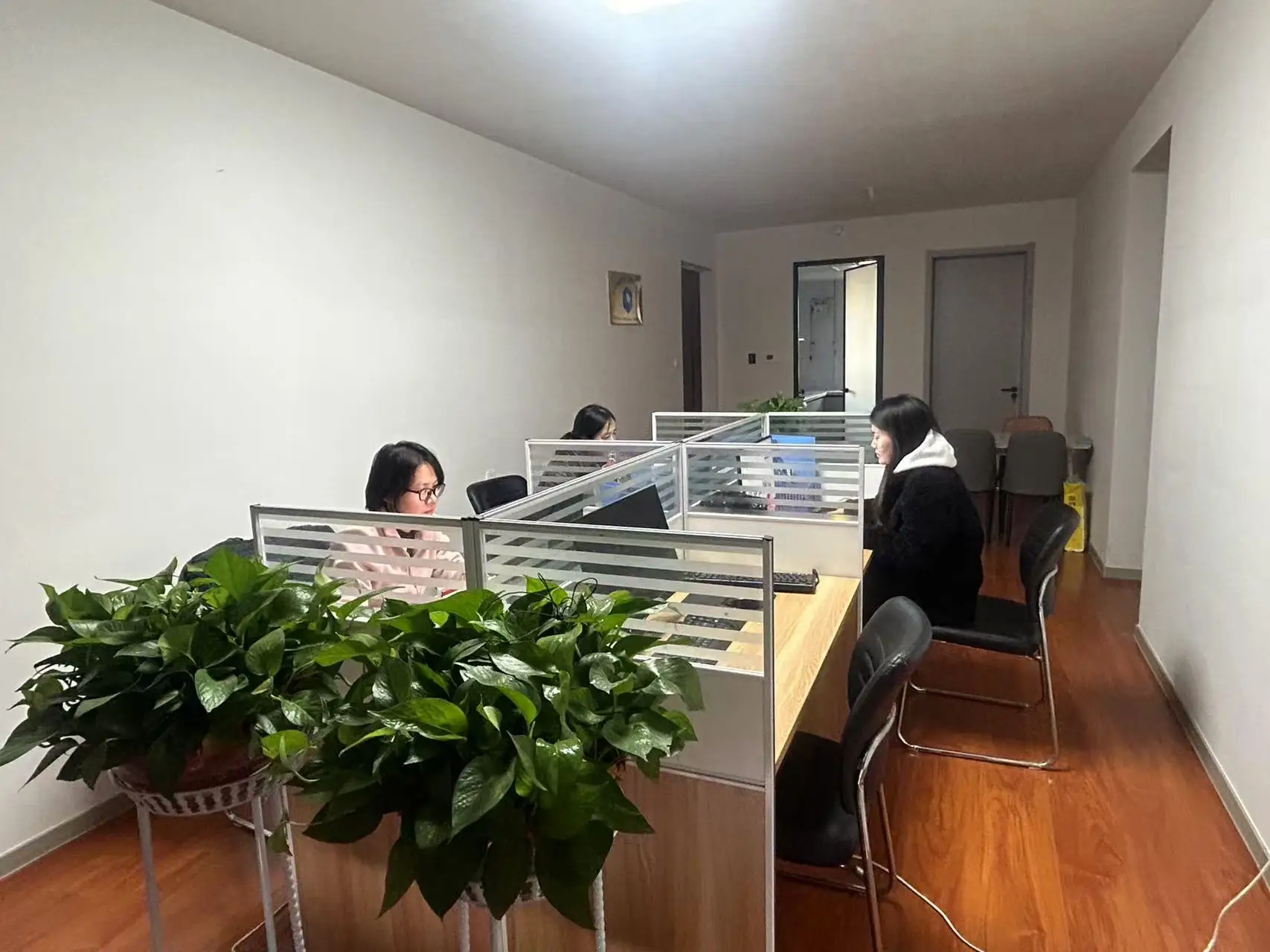 Hebei Haoru Import & Export Trading Co., Ltd. Electric Bicycle