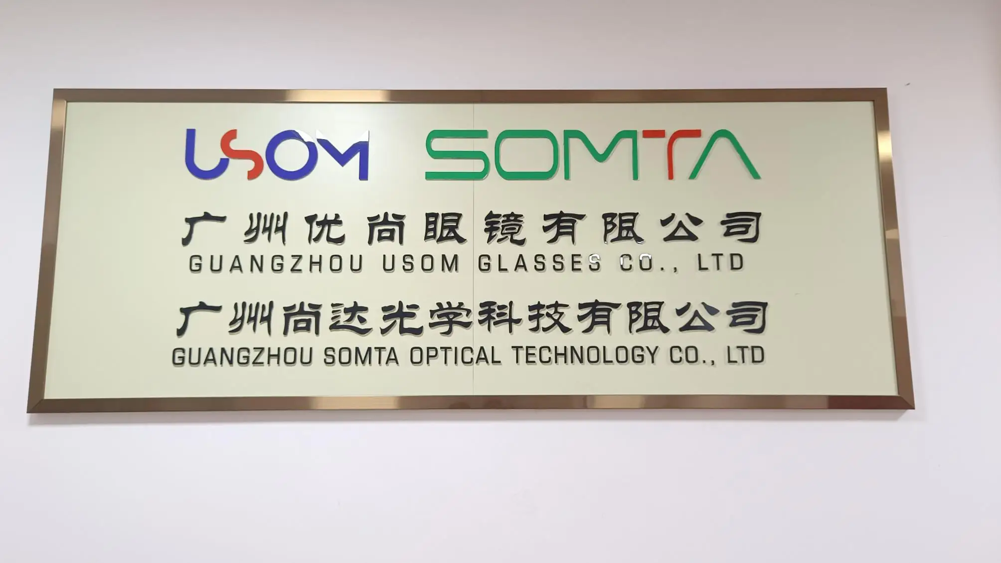Guangzhou Somta Optical Technology Co., Ltd. Ski Goggles