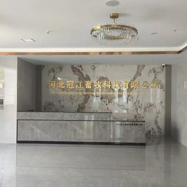 d59sbm5hkj9s73cq6dg0.webp