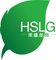 Chongqing Hesheng Longgang Technology Co., Ltd. logo