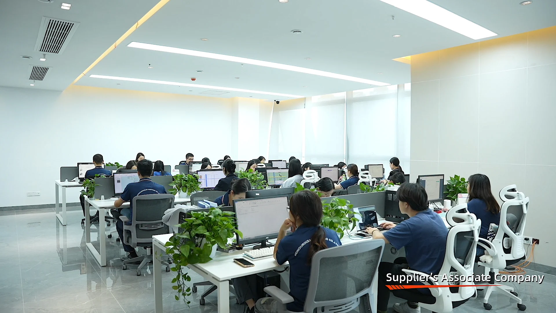 Shenzhen Honour Ocean Shipping Co., Ltd. Freight Forwarding
