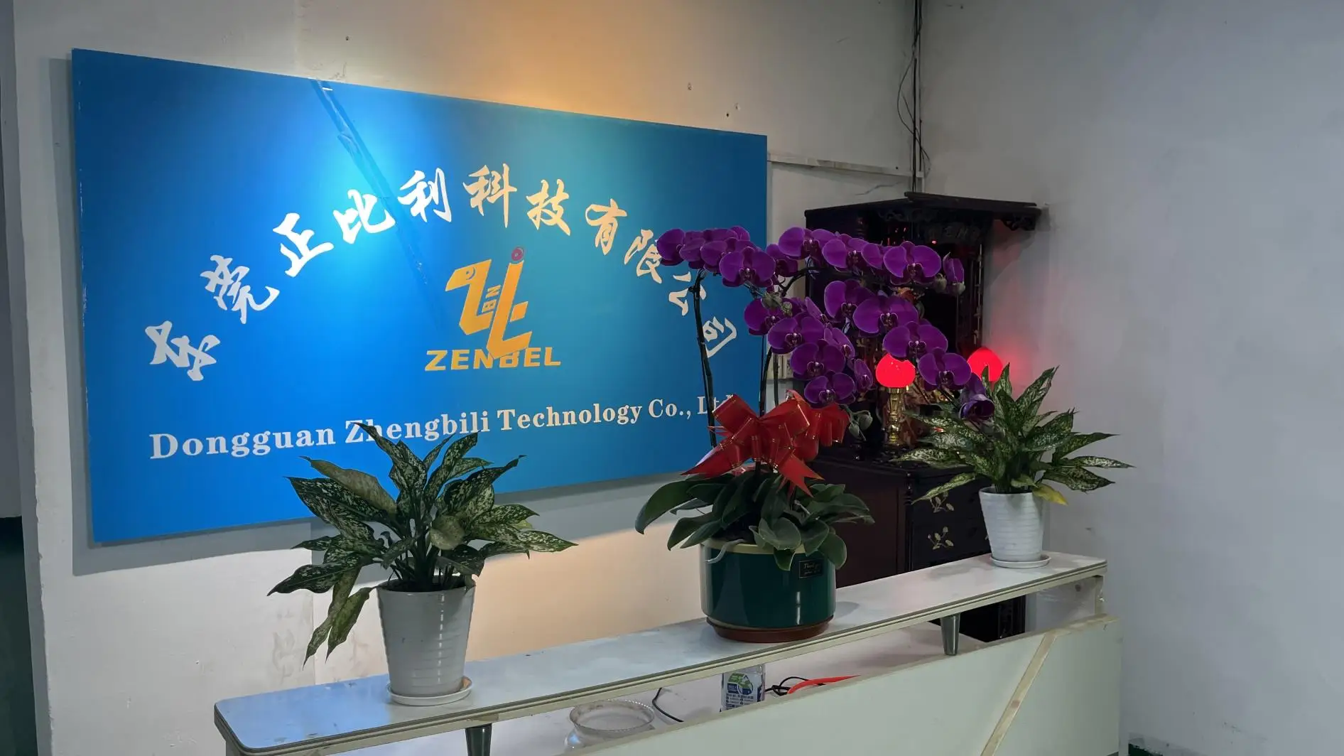 Dongguan Zhengbili Technology Co., Ltd. USB Cable