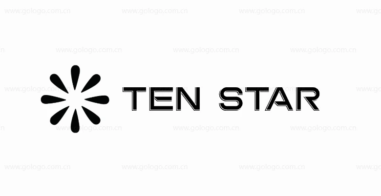 Shenzhen Ten Star Future Technology Co., Ltd. logo