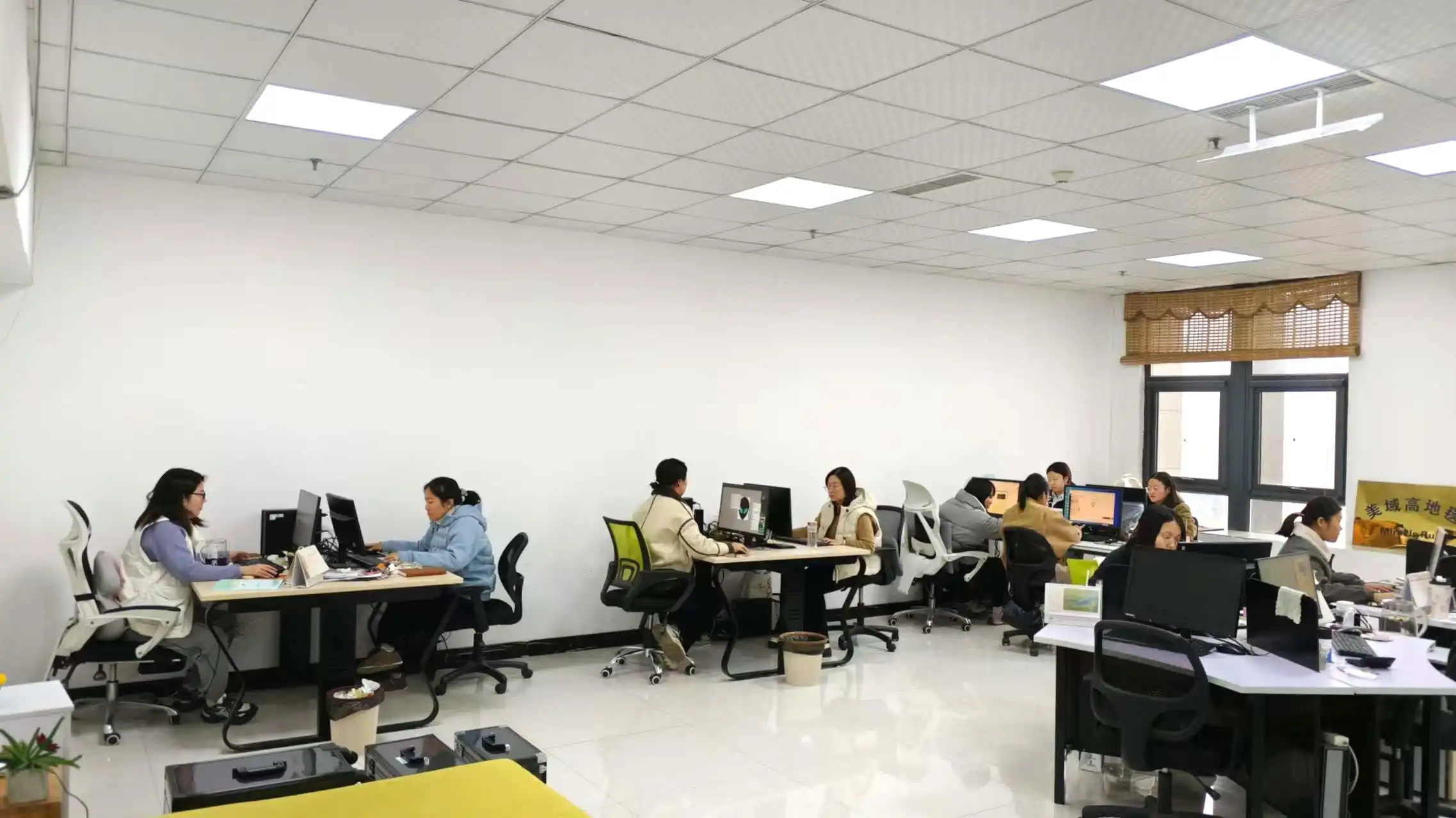 Gongyi Miracle Trading Co., Ltd. Custom Pillow