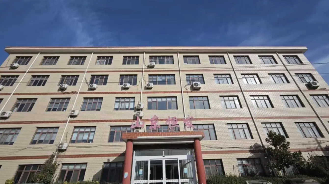 Shandong Hengfa Hygienic Products Co., Ltd. Baby Diapers