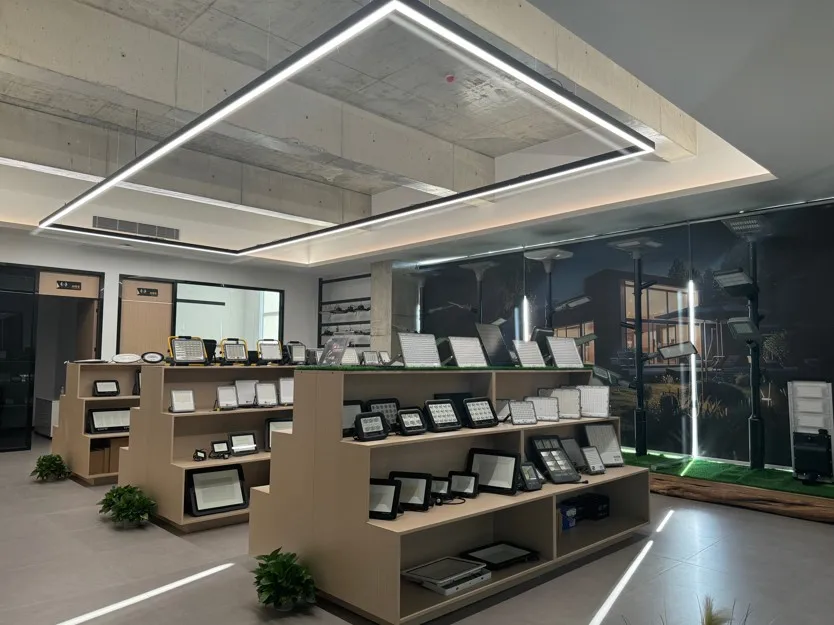 Foshan Heshi Lighting Electrical Co., Ltd Solar LED Street Light
