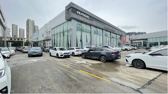 Dana (henan) International Trade Co., Ltd. SUV
