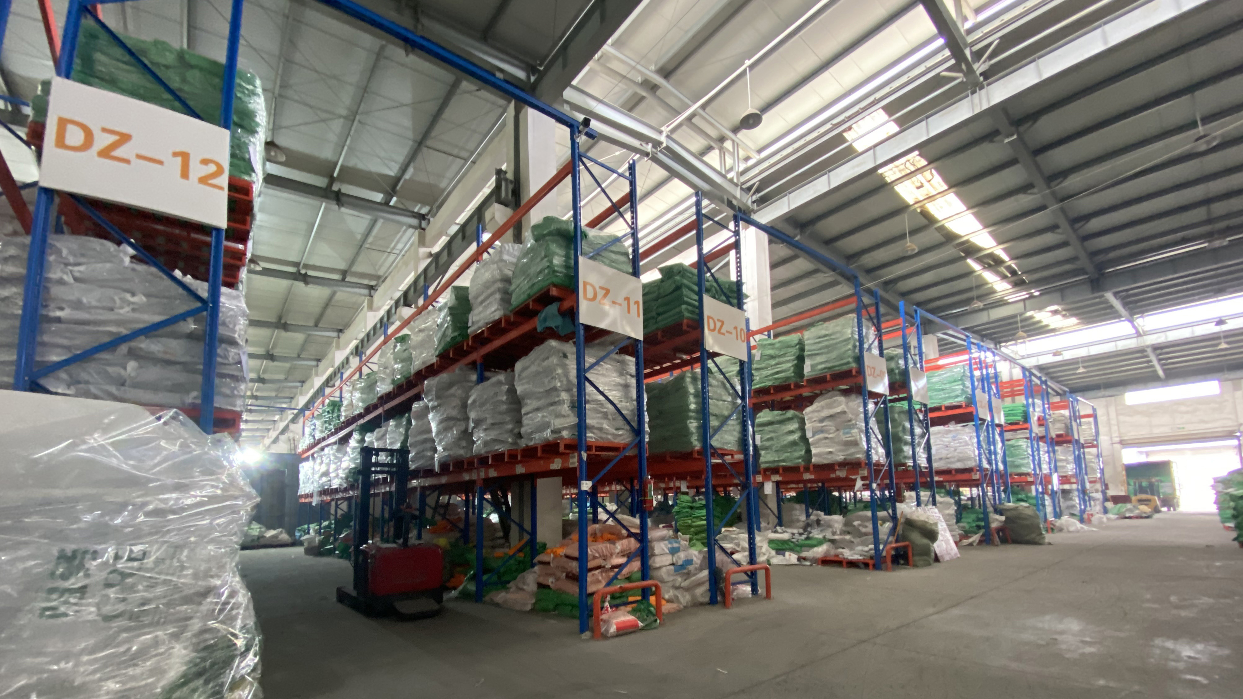 Zhangzhou Rich-Link Trading Co., Ltd. Ficus Microcarpa