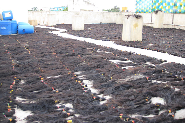 Sharmin Enterprise Human Hair