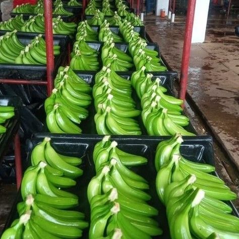 d59uhhj285rs73ak6f00.jpg