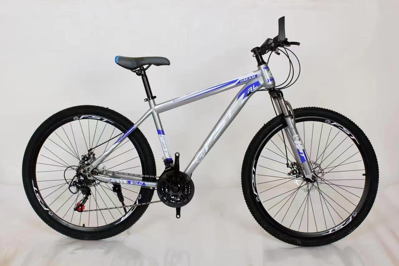 Hebei Ace Beauty Technology Co., Ltd. electric bicycles