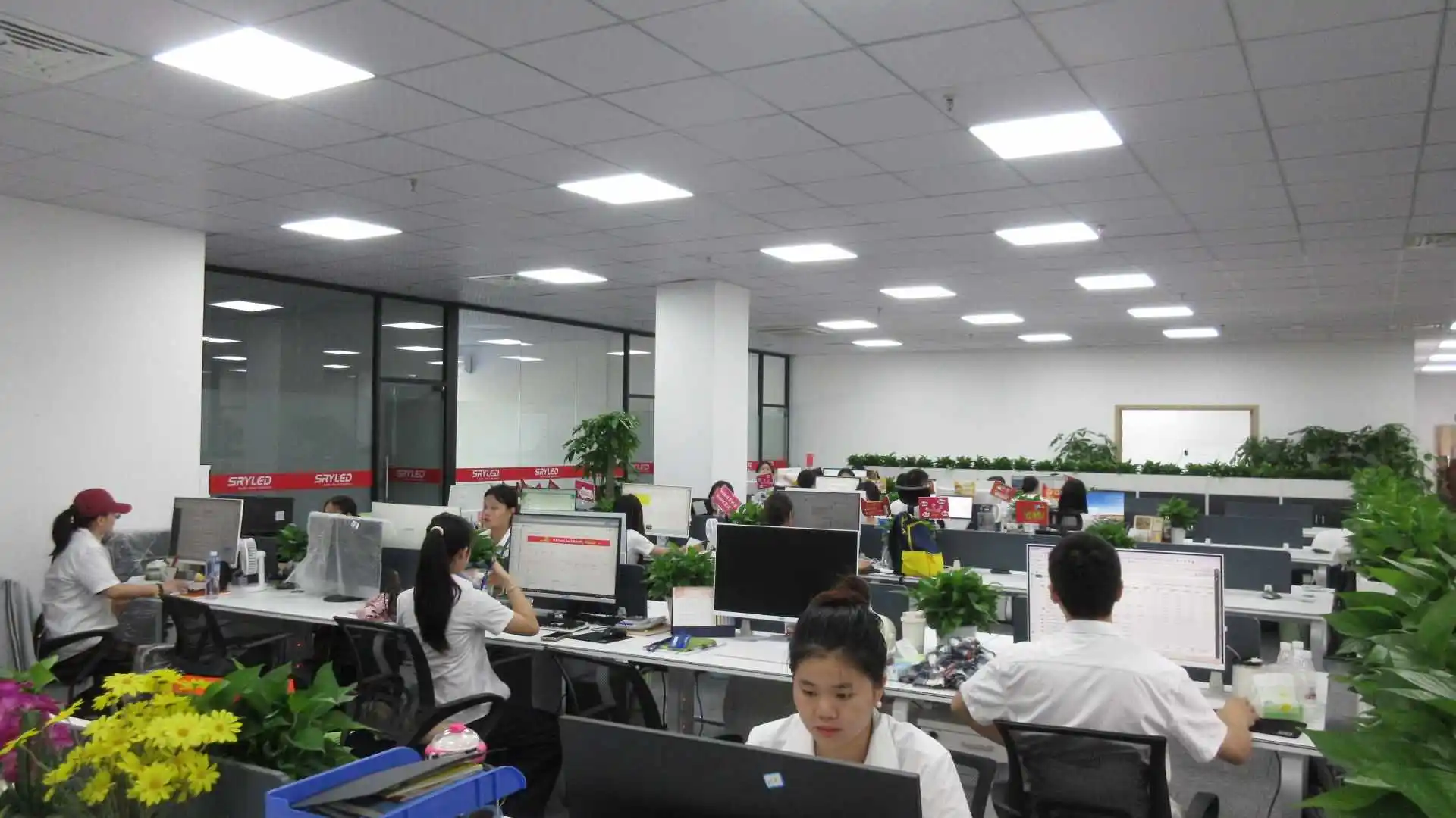 Shenzhen SRYLED Photoelectric Co., Ltd. factory image 3