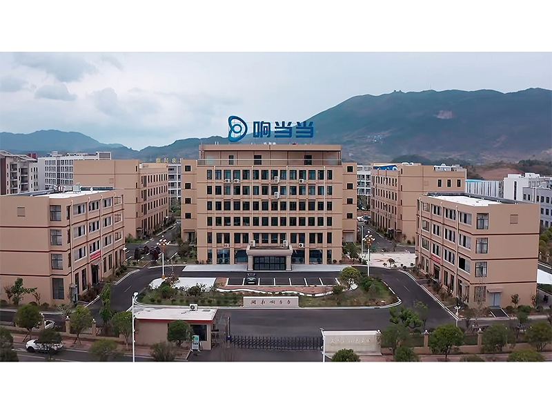 Hunan Xiangdangdang Intelligent Technology Co., Ltd. TWS Earbuds