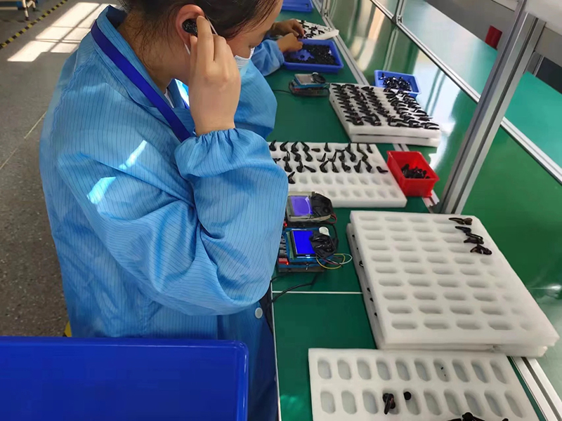 Hunan Xiangdangdang Intelligent Technology Co., Ltd. TWS Earbuds