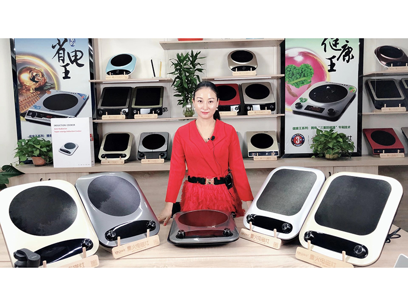 Guangzhou Fengyin Import and Export Co., Ltd. Induction Cooker