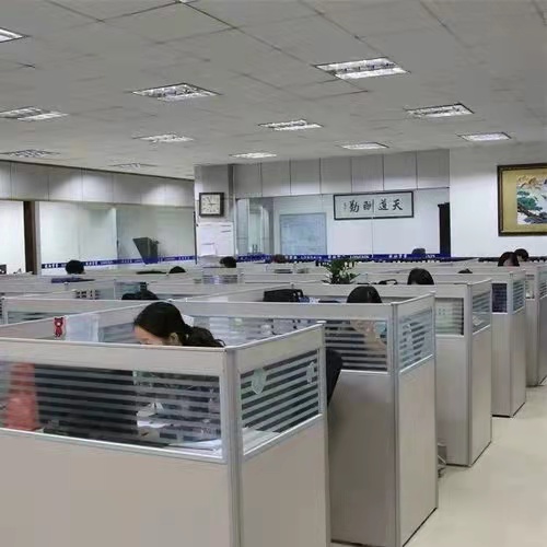 Dongguan Chaojupin Technology Co., Ltd. RC Toys