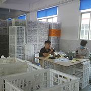 d59ukhl621jc73ei3lqg.jpg