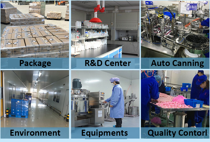 Guangzhou Lydia Int'l Trade Co., Ltd. Top Coat