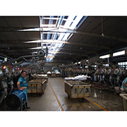 Suzhou Best Forest Import And Export Company Limited Polyester fabric