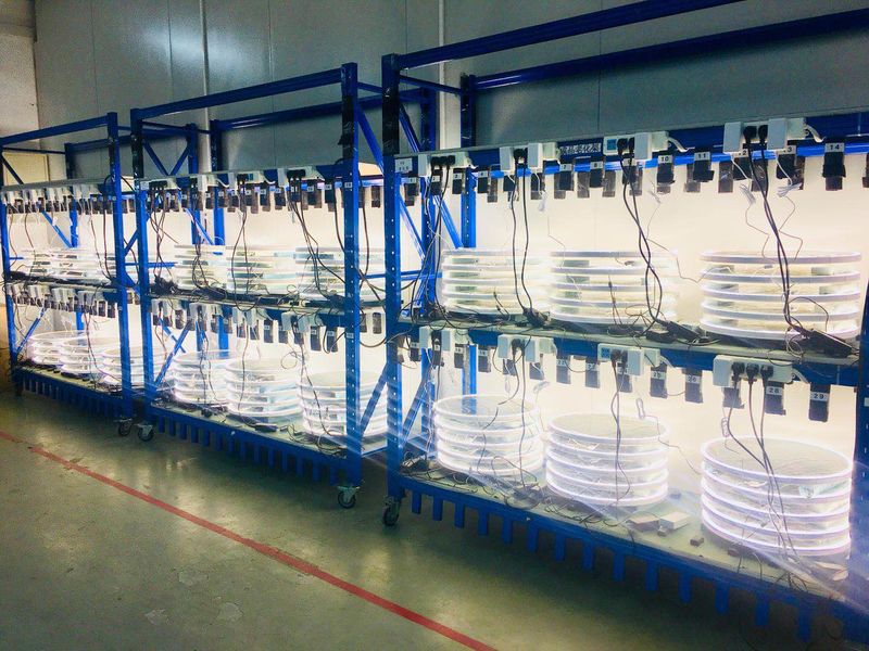 Raysgem International Co., Ltd. Mirror TV