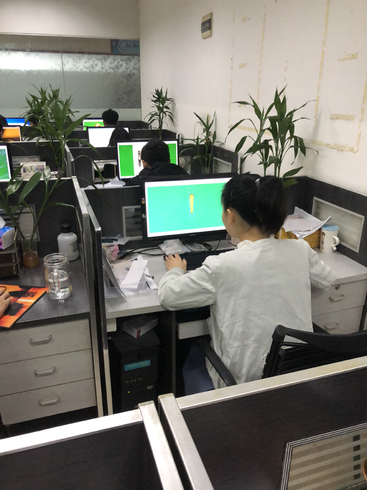Dongguan Lanshun Hardware Jewelry Co., Ltd. Earring
