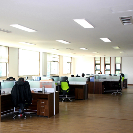 Wuyi Dingdi Industry & Trade Co., Ltd. push pins
