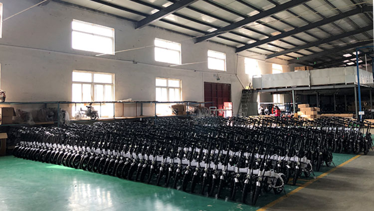 Tianjin Yuehaitong Bicycle Co., Ltd. Electric Bike