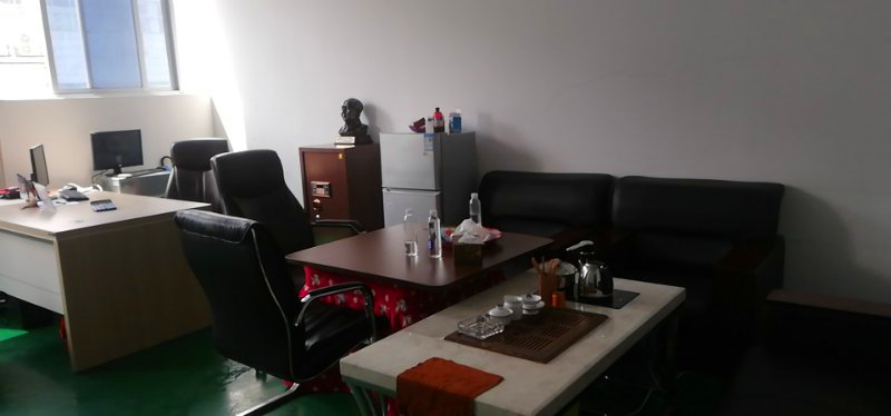 Huangshi Binguo Party Trading Co., Ltd. Party supplies
