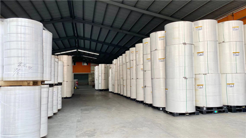 Quanzhou SK Care Co., Ltd. Adult Diapers