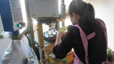 Tianjin Yiwan Artificial Flower Co., Ltd. artificial plants