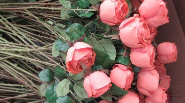 Tianjin Yiwan Artificial Flower Co., Ltd. artificial flowers