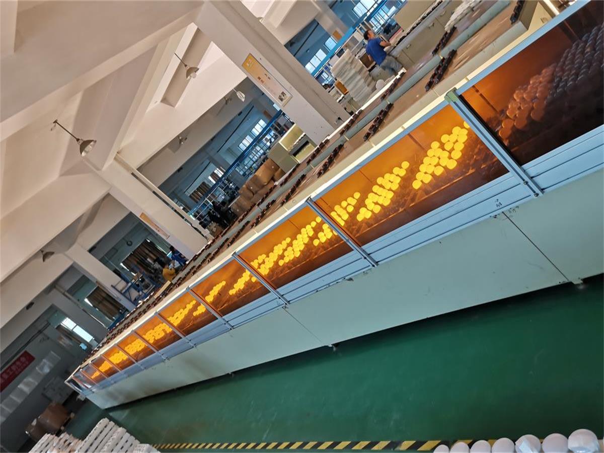 Ningbo Eurolite Electrical Co., Ltd. LED Solar Garden Lights