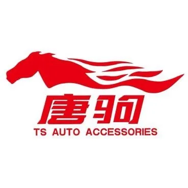 Guangzhou Tangju Auto Accessories Co., Ltd. logo