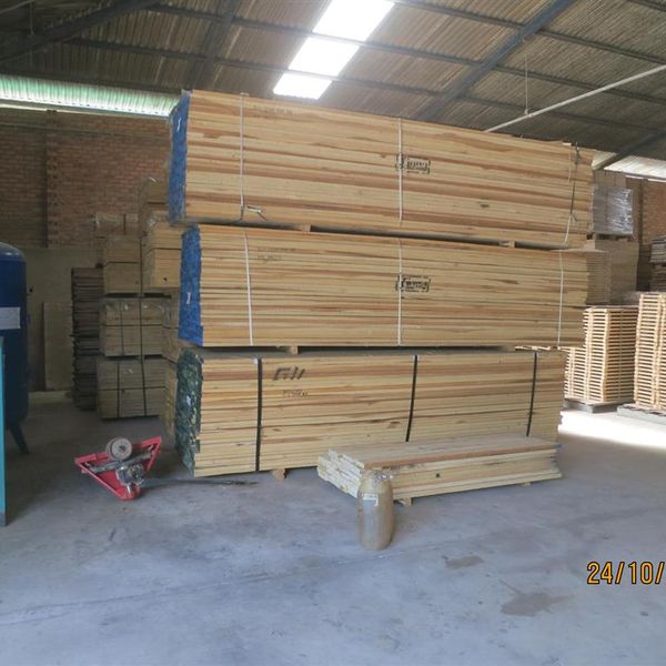 d59uomd621jc73ei5p80.jpg