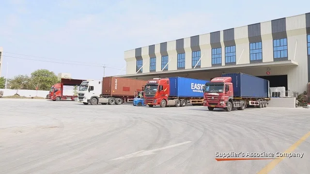 Fujian Wellcare Hygiene Products Co., Ltd. Baby Diapers