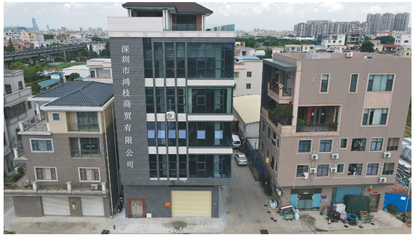 Shenzhen Hongzhi Trading Co., Ltd. Steam Cleaner