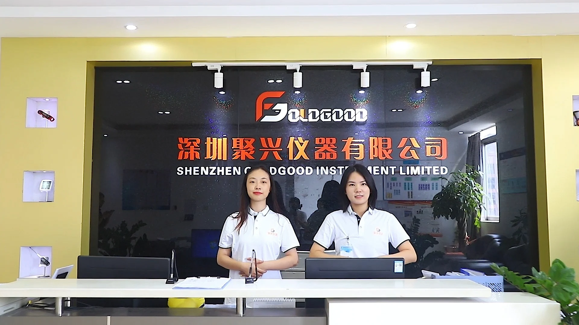 Shenzhen Goldgood Instrument Limited factory image 1