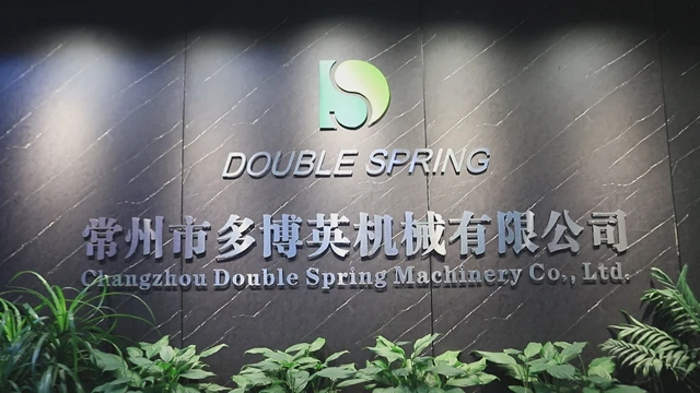 Changzhou Double Spring Machinery Co., Ltd. Lockable Gas Spring