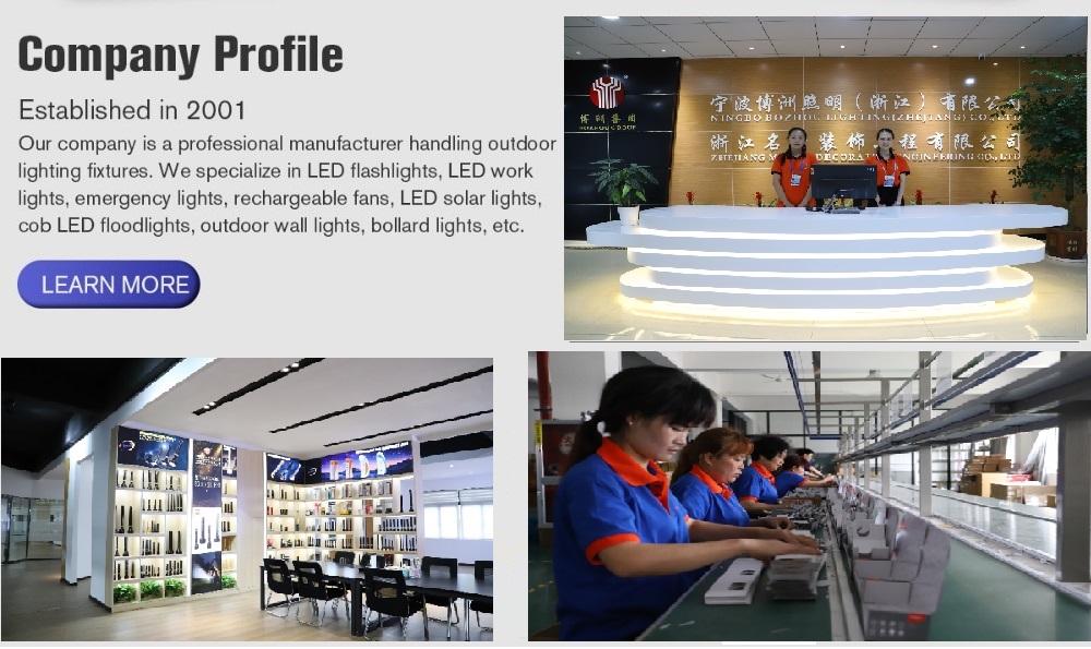 Ningbo Bozhou Lighting Co., Ltd. LED Flashlights