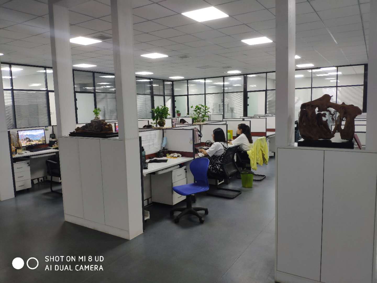 Hebei Yunjing Biotechnology Co., Ltd. wooden beads